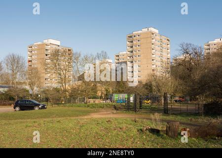 The Alton Estate in Roehampton, as seen from Richmond Park, London, SW15, England, UK Stock Photo