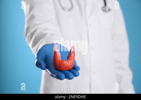 Doctor holding plastic model of healthy thyroid on light blue background, closeup Stock Photo