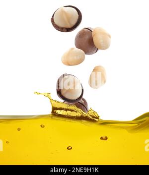 Macadamia nuts falling into natural essential oil on white background Stock Photo