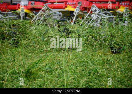 Farm machine spreading out grass after mowing to wilt it before