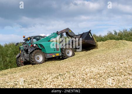 Kramer loader working on a pile of newly harvested Willow wood chip to be used for bio-fuel. Cumbria, UK. Stock Photo