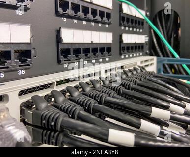 Ethernet cables connected to the network equipment Stock Photo