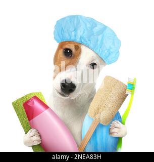 Cute funny dog with shower cap and different accessories for bathing on white background Stock Photo