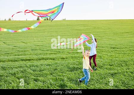 Happy children launch a kite in the field. Little boy and girl on summer vacation. Stock Photo