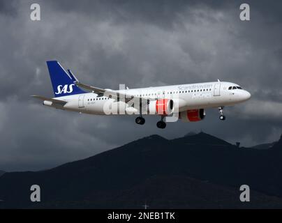 A Scandinavian Airlines Airbus A320Neo arriving at Tenerife South Airport Stock Photo