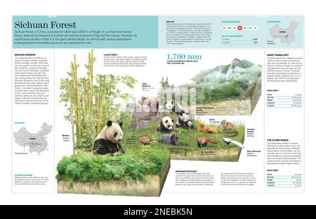 Forest Writing Indesign Infographic about the forest ecosystem. [Adobe InDesign (.indd ...