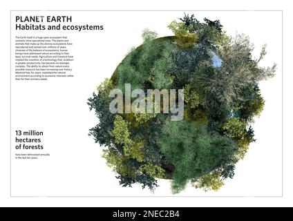 Infographic about the forest ecosystem. [Adobe InDesign (.indd ...