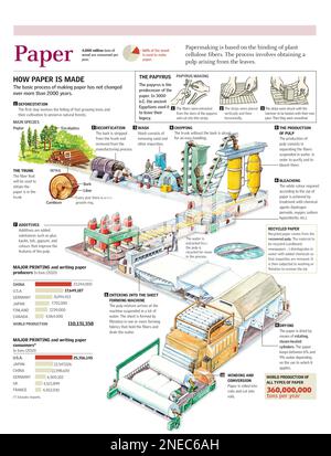Infographic of the paper making process, from the cultivation of trees ...