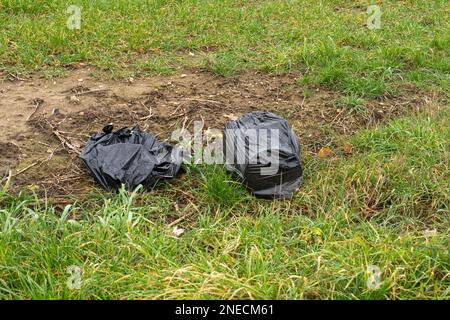 Black bin bags full of rubbish dumped in a corner of a Norfolk farmers field Stock Photo