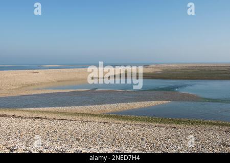 pebble and shell beach on inlet near the mouth of Pagham Harbour, Sussex, with the sea on the horizon. Pagham spit, east side. Stock Photo
