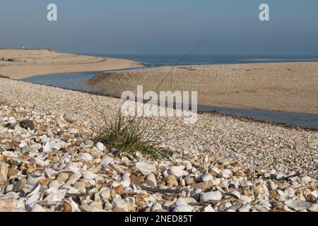 pebble and shell beach on inlet near the mouth of Pagham Harbour, Sussex, with the sea on the horizon. Pagham spit, east side. Stock Photo