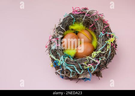 easter eggs in nest on pink background. colourful flat lay with feathers Stock Photo