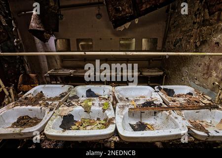 Dilapidated washroom many washbasins Stock Photo