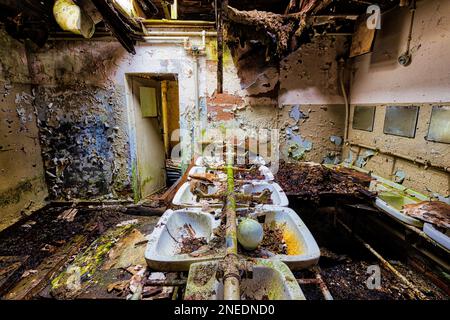 Dilapidated washroom many washbasins Stock Photo
