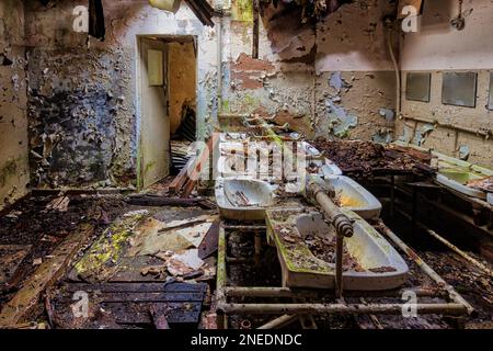 Dilapidated washroom many washbasins Stock Photo