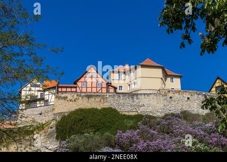 Pictures from the historical Quedlinburg Muenzenberg Stock Photo