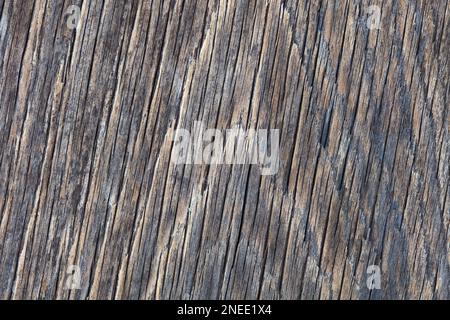 Old, dried wooden texture background Stock Photo