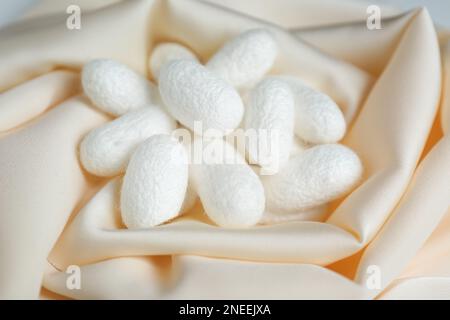 Heap of white cocoons on silk fabric, closeup Stock Photo
