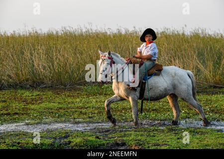 Young Gaucho on his horse, Puesto Mingo, Esteros del Ibera, at Concepcion del Yaguarete Cora, Corrientes Province, Argentina Stock Photo