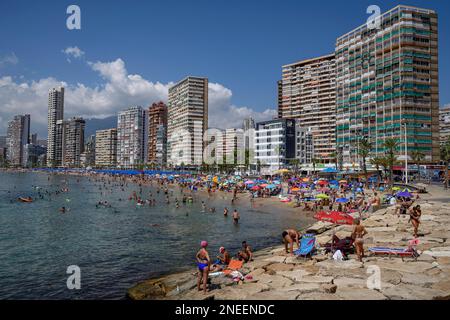 Many tourists on the beach in front of skyscrapers, Playa Levante, Benidorm, Alicante province, Costa Blanca, Spain Stock Photo