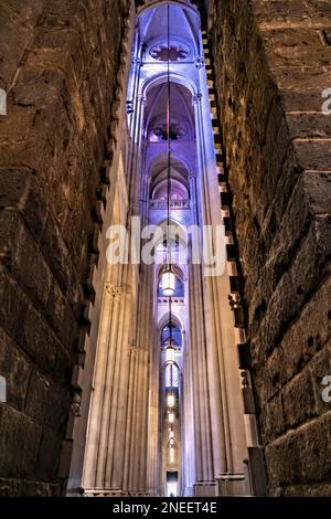 New York. Manhattan. The Cathedral Church of St. John the Divine Stock Photo