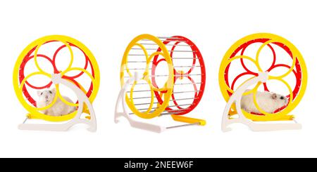 Cute funny hamsters running in wheels on white background, collage. Banner design Stock Photo