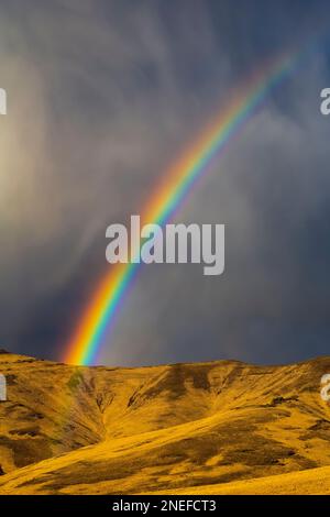 Rainbow arching over golden foothills along Route 205 in Harney County, Oregon, USA Stock Photo