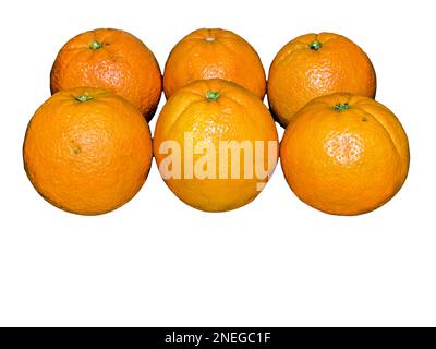 group of oranges isolated on white background Stock Photo