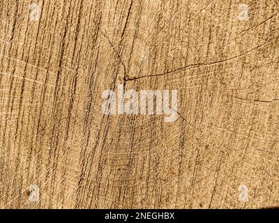 natural wooden background. texture, closeup Stock Photo