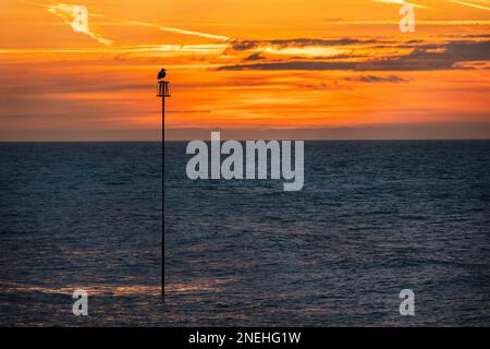 Orange sky over Worthing,West Sussex in Winter with a bird in silhouette on a post Stock Photo