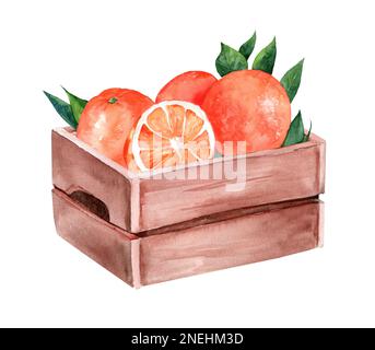 Fresh ripe oranges in a wooden box. Watercolor hand drawn illustration isolated on white background. Stock Photo