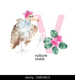 Letter V, vulture and violet flower, cute kids animal and flower ABC alphabet. Watercolor illustration isolated on white background. Can be used for Stock Photo