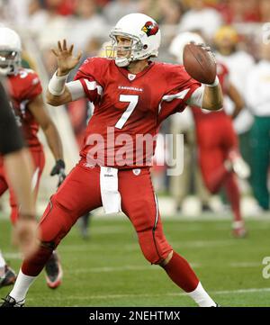 Arizona Cardinals quarterback Matt Leinart (7) looks to throw as