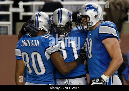 Detroit Lions defensive end Dewayne White watches from the bench against  the in Tampa Bay Buccaneers in an NFL football game in Detroit, Sunday,  Nov. 23, 2008. (AP Photo/Paul Sancya Stock Photo 