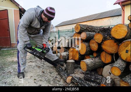 Lviv, Ukraine. 16th Feb, 2023. A man seen cutting wood with a chainsaw. People collect firewood to survive during winter as Russia attacks energy infrastructure. Russia invaded Ukraine on February 24, 2022, triggering the largest military attack in Europe since World War II (Photo by Mykola Tys/SOPA Images/Sipa USA) Credit: Sipa USA/Alamy Live News Stock Photo