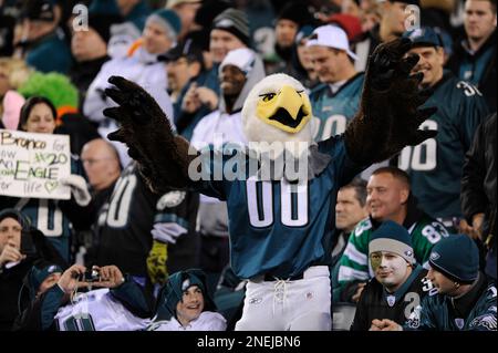 Philadelphia Eagles mascot Swoop endures 25 years after crash