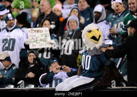 Philadelphia Eagles inflatable mascot Air Swoop pauses to watch