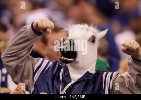 A colts fan wears a horse head mask before an NFL football game between the Indianapolis  Colts and the New York Jets in Indianapolis, Sunday, Dec. 27, 2009. (AP  Photo/AJ Mast Stock Photo - Alamy