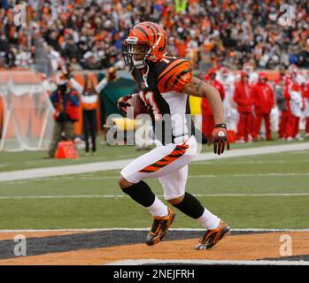 Cincinnati Bengals receiver Laveranues Coles (11) during practice