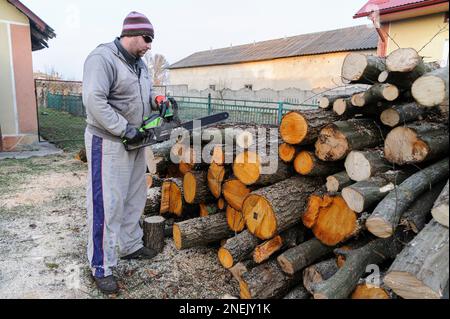 Lviv, Ukraine. 16th Feb, 2023. A man seen cutting wood with a chainsaw. People collect firewood to survive during winter as Russia attacks energy infrastructure. Russia invaded Ukraine on February 24, 2022, triggering the largest military attack in Europe since World War II (Credit Image: © Mykola Tys/SOPA Images via ZUMA Press Wire) EDITORIAL USAGE ONLY! Not for Commercial USAGE! Stock Photo