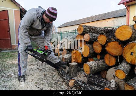 Lviv, Ukraine. 16th Feb, 2023. A man seen cutting wood with a chainsaw. People collect firewood to survive during winter as Russia attacks energy infrastructure. Russia invaded Ukraine on February 24, 2022, triggering the largest military attack in Europe since World War II (Credit Image: © Mykola Tys/SOPA Images via ZUMA Press Wire) EDITORIAL USAGE ONLY! Not for Commercial USAGE! Stock Photo
