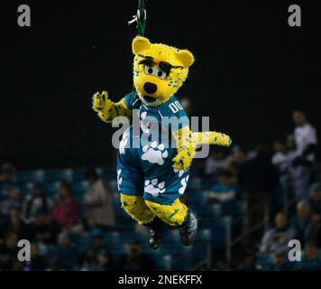 September 16, 2021, Jacksonville, Florida. Emblem of a professional  American football team Jacksonville Jaguars based in Jacksonville at the  sports st Stock Photo - Alamy