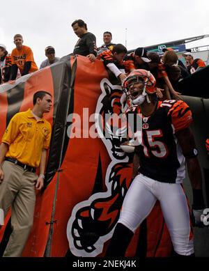 FILE - In this Sept. 27, 2009 file photo, Cincinnati Bengals