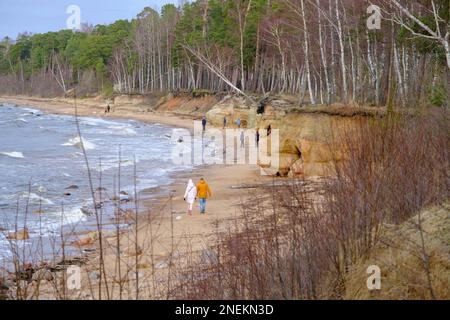 Tuja, Latvia - 13.02.2023: Colorful sandstone cliffs. People were walking. The coast of the Baltic Sea with caves. Veczemju klints, Veczemju cliffs in Stock Photo