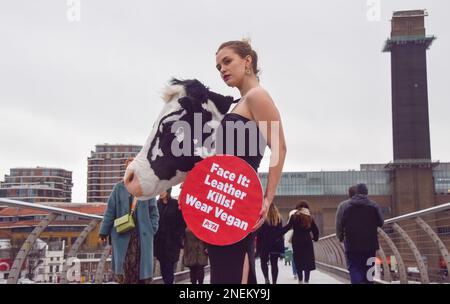 London, UK. 16th February 2023. PETA staged a ‘catwalk’ on Millennium Bridge on the eve of London Fashion Week with a model wearing a Schiaparelli-style faux cow’s head. The stunt aims to inspire people to ditch animal leather and references Schiaparelli’s ‘animal heads’ which caused much controversy recently at Paris Fashion Week. Stock Photo