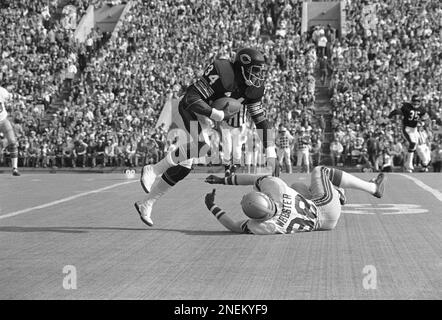 1978 Chicago Bears Football Player Quarterback Bob Avellini Press Photo