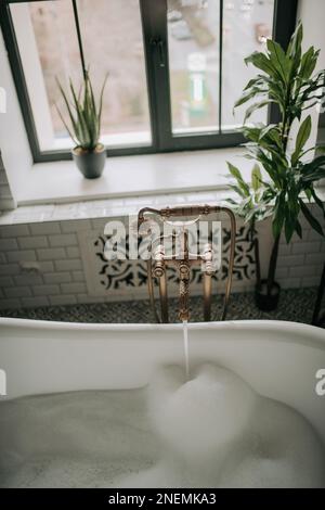 Native hues organic shapes look of bathroom with big window oval bathtub in neutrals earth tones. Green palm plants candles bubblebath leasure and rel Stock Photo