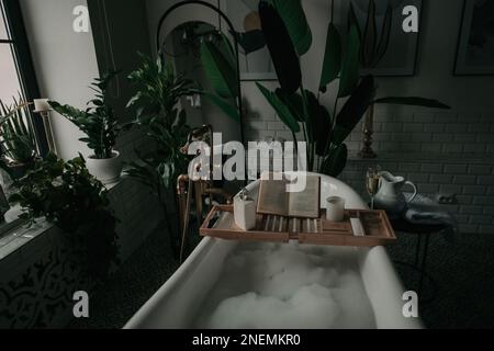Native hues organic shapes look of bathroom with big window oval bathtub in neutrals earth tones. Green palm plants candles bubblebath leasure and rel Stock Photo