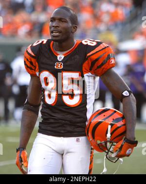 Cincinnati Bengals wide receiver Chad Ochocinco walks off the field during  the second half of an NFL football game, Sunday, Nov. 8, 2009, in  Cincinnati. (AP Photo/David Kohl Stock Photo - Alamy