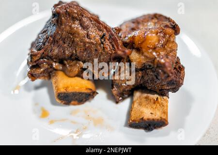 Roasted bone in beef short ribs cooked brown meat on white plate macro closeup with fat texture and nobody Stock Photo